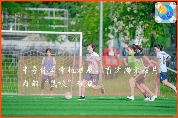 半导体革命性进展！首次揭示芯片内部“鼠咬”瑕疵