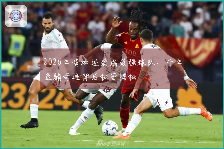 2026年黄蜂逆袭成最强球队，千年鱼腩奇迹背后秘密揭秘
