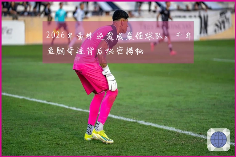2026年黄蜂逆袭成最强球队，千年鱼腩奇迹背后秘密揭秘